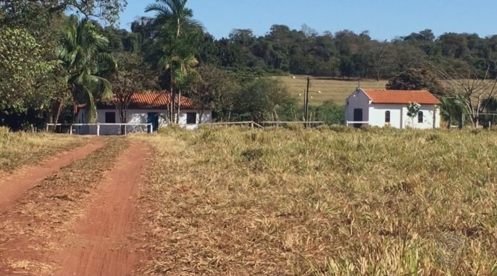 Local onde Anielle foi morta pelo companheiro, em Populina — Foto: Reprodução/TV TEM