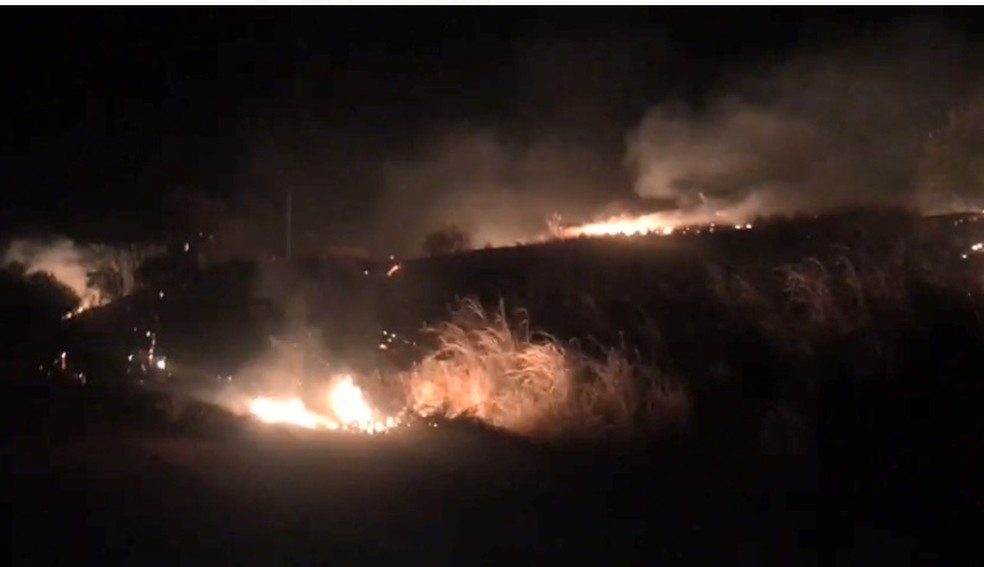 Fogo em área de Santa Fé do Sul — Foto: Informa Mais