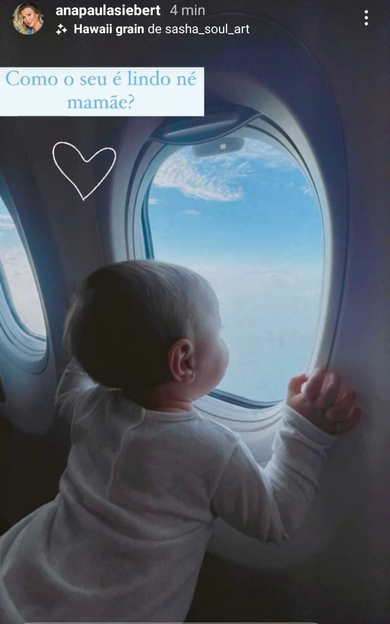 Ana Paula Siebert mostra Vicky em viagem de avião (Foto: Reprodução/Instagram)