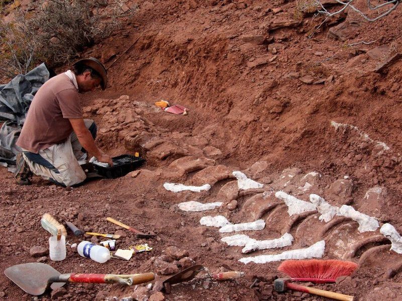 As escavações ainda não foram finalizadas (Foto: CTyS-UNLaM Science Outreach Agency)