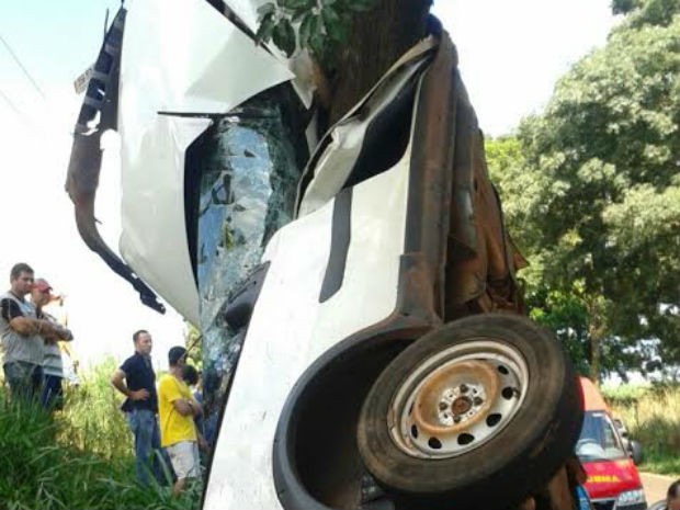 Veículo ficou preso na árvore, depois do acidente. (Foto: Divulgação)