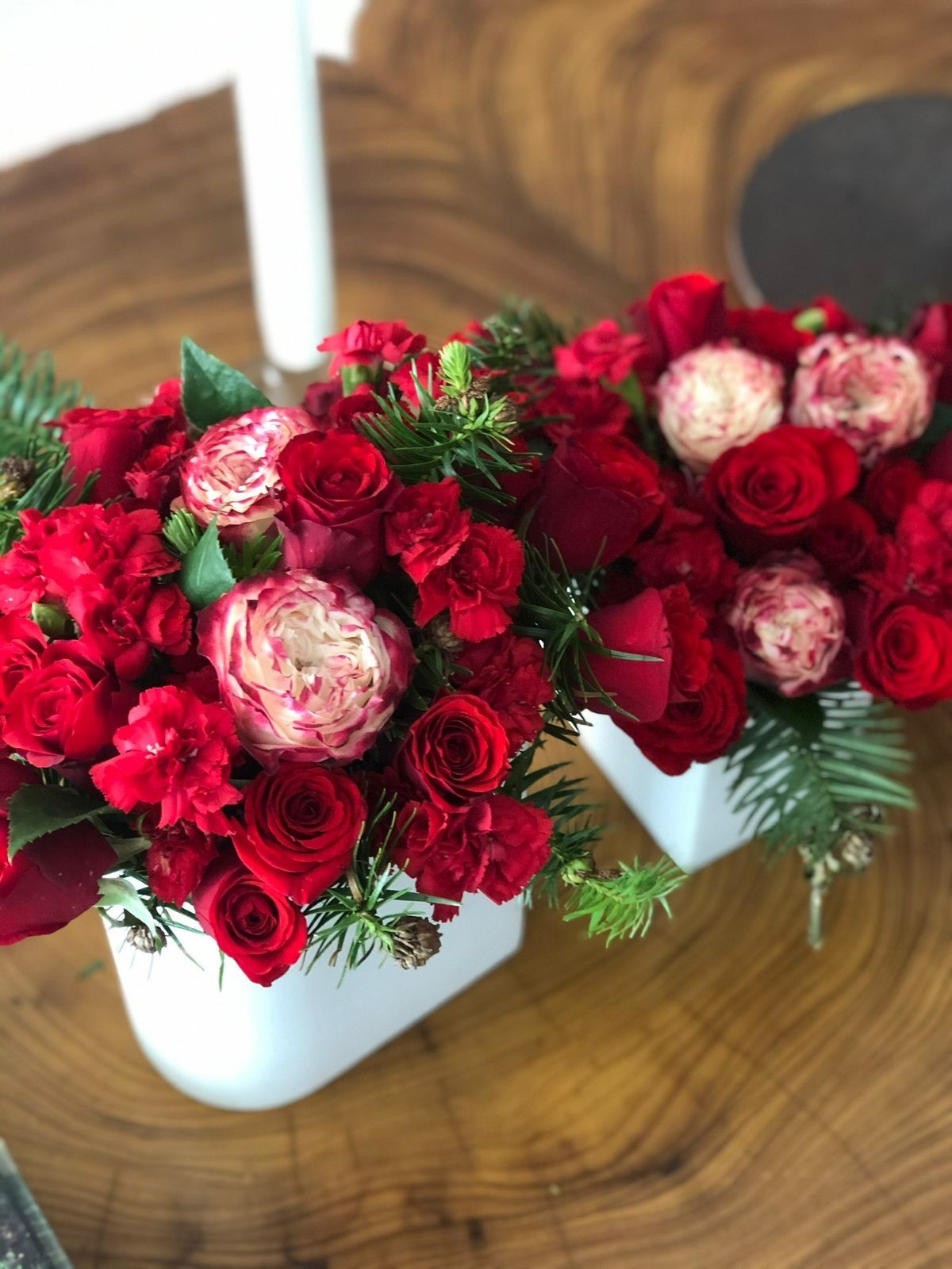 A flor branca e vermelha é um tipo de rosa especial, chamada “garden rose” e seu nome de comercialização é rosa “apple jack”. Dentre as folhagens natalinas, temos o cedro com pinhas nas pontas (Foto: Arquivo pessoal / Carol Scaff)