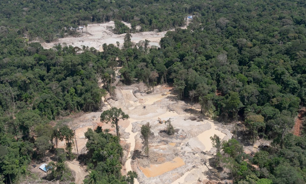TI Sai Cinza, no Pará, tem sido uma das mais desmatadas por garimpo na Amazônia nos últimos anos. — Foto: Marcos Amend/Greenpeace