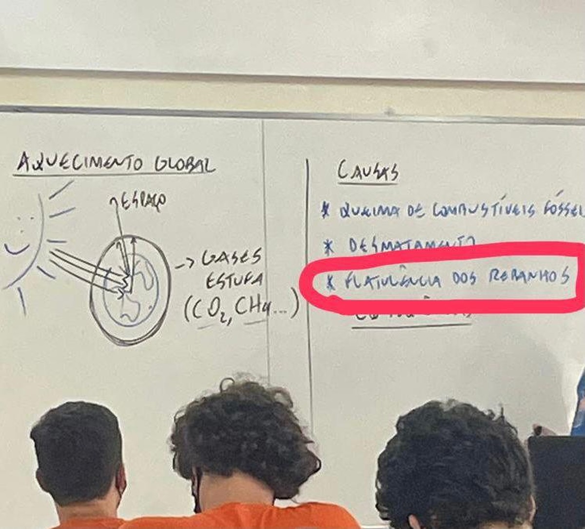 Professor diz sofrer ameaças após relacionar 'flatulência dos rebanhos' com efeito estufa no RS