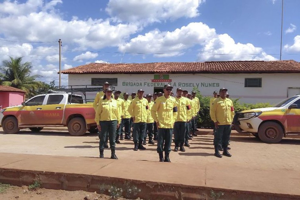Brigada Federal de prevenção e combate a incêndio florestal — Foto: Ministério do Meio Ambiente/ Divulgação