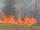 Governo investirá R$ 1,7 milhão para o combate a queimadas em MT