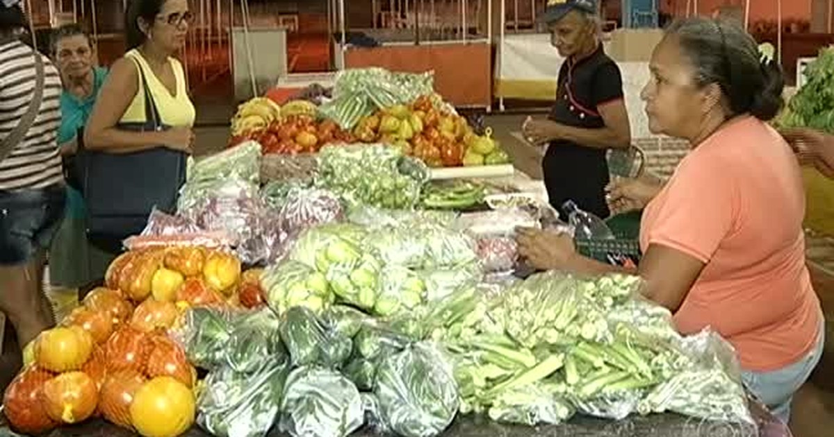 Alguns Exemplos De Alimentos Que Podem Ser Obtidos Nos Rios