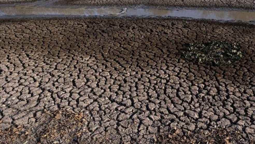 Seca histórica neste ano trouxe diversos prejuízos ao bioma — Foto: Ahmad Jarrah/A Lente via BBC