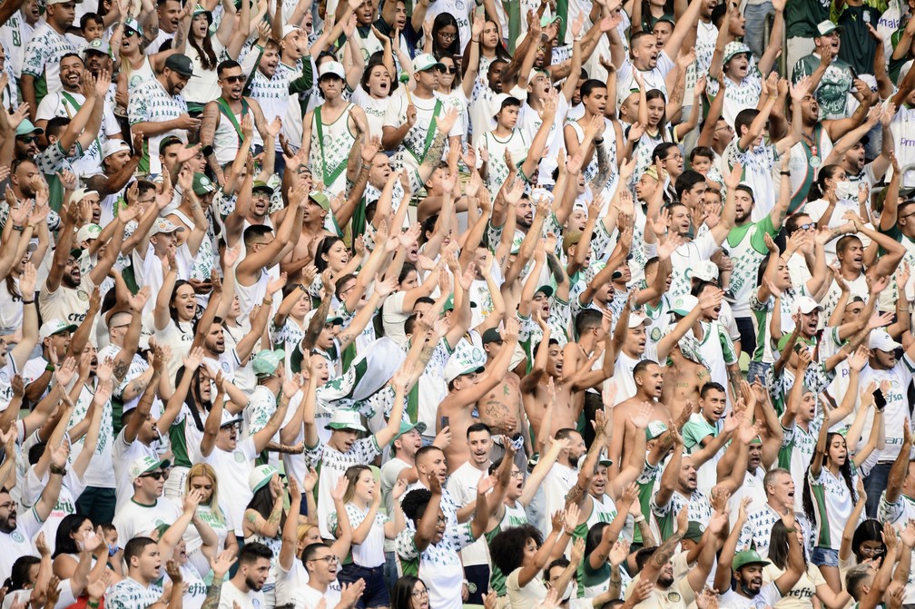 Torcida do Palmeiras durante o jogo contra o Santo Andr  Foto: Marcos Ribolli