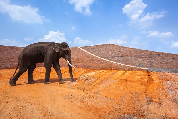 Estúdio projeta "museu do elefante" na Tailândia para valorizar a espécie  (Foto:  Spaceshift Studio / Divulgação)