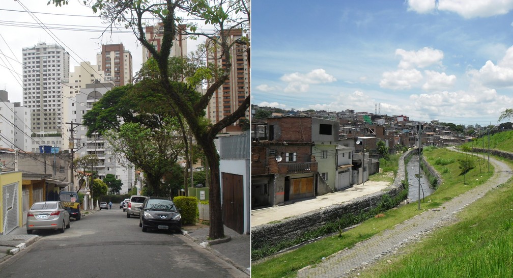 Diferentes tipos de urbanização na cidade de São Paulo — Foto: Divulgação/NEV USP