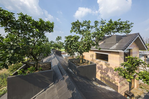 Árvores frutíferas crescem no telhado desta casa  (Foto: Hiroyuki Oki / divulgação)
