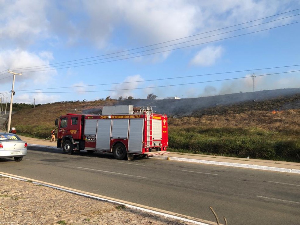 Incêndio destrói parte da vegetação na Avenida Litorânea, em São Luís. — Foto: Divulgação.