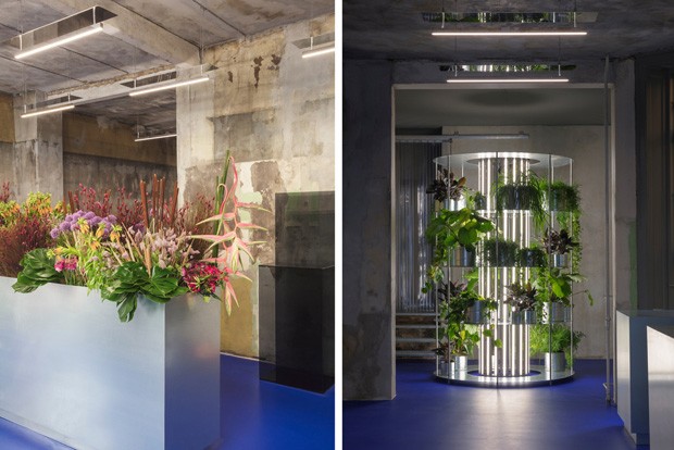 Floricultura em Copenhague enaltece as plantas como peças de arte (Foto: Irina Boersma/Divulgação)
