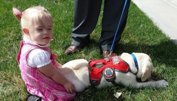 Menina diabética tem cão salva-vidas que cuida dela até de longe (Foto: Reprodução)