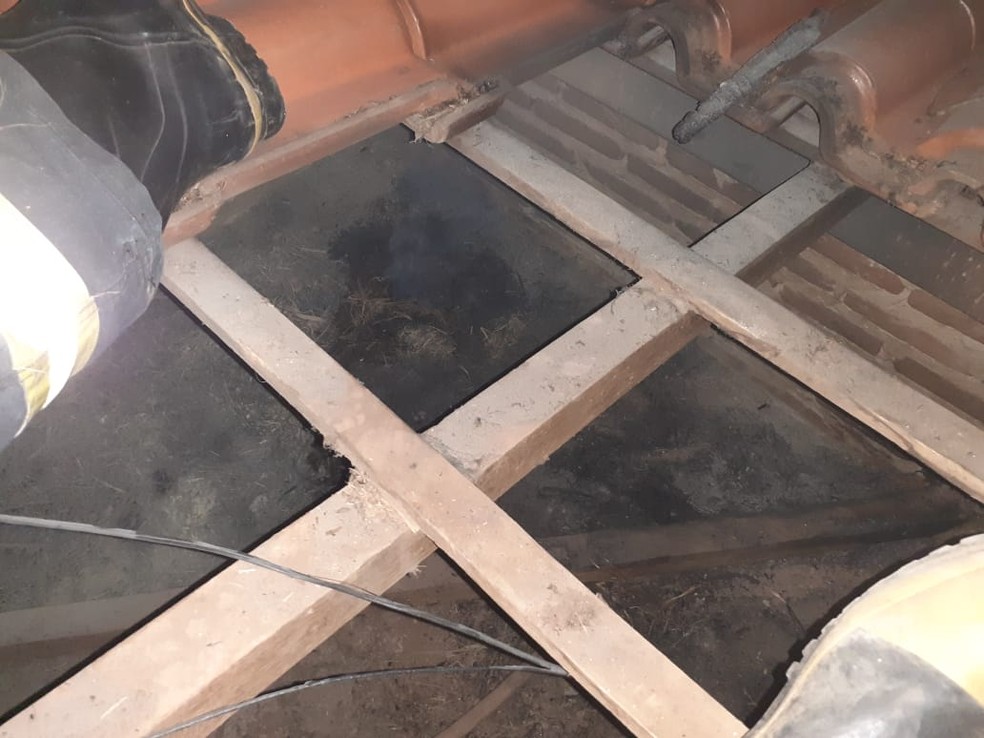 Incêndio atingiu ninho de maritacas no telhado de uma casa em Tupã — Foto: João Trentini/Divulgação