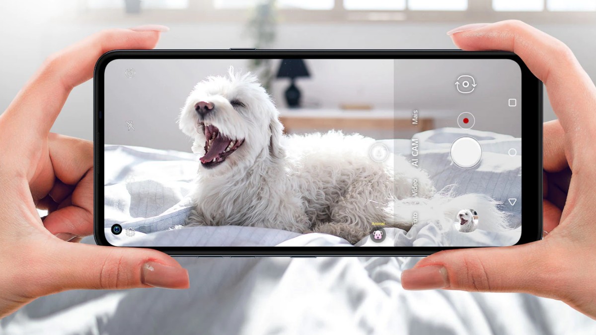 Celular: o que pesquisar antes de comprar um novo aparelho