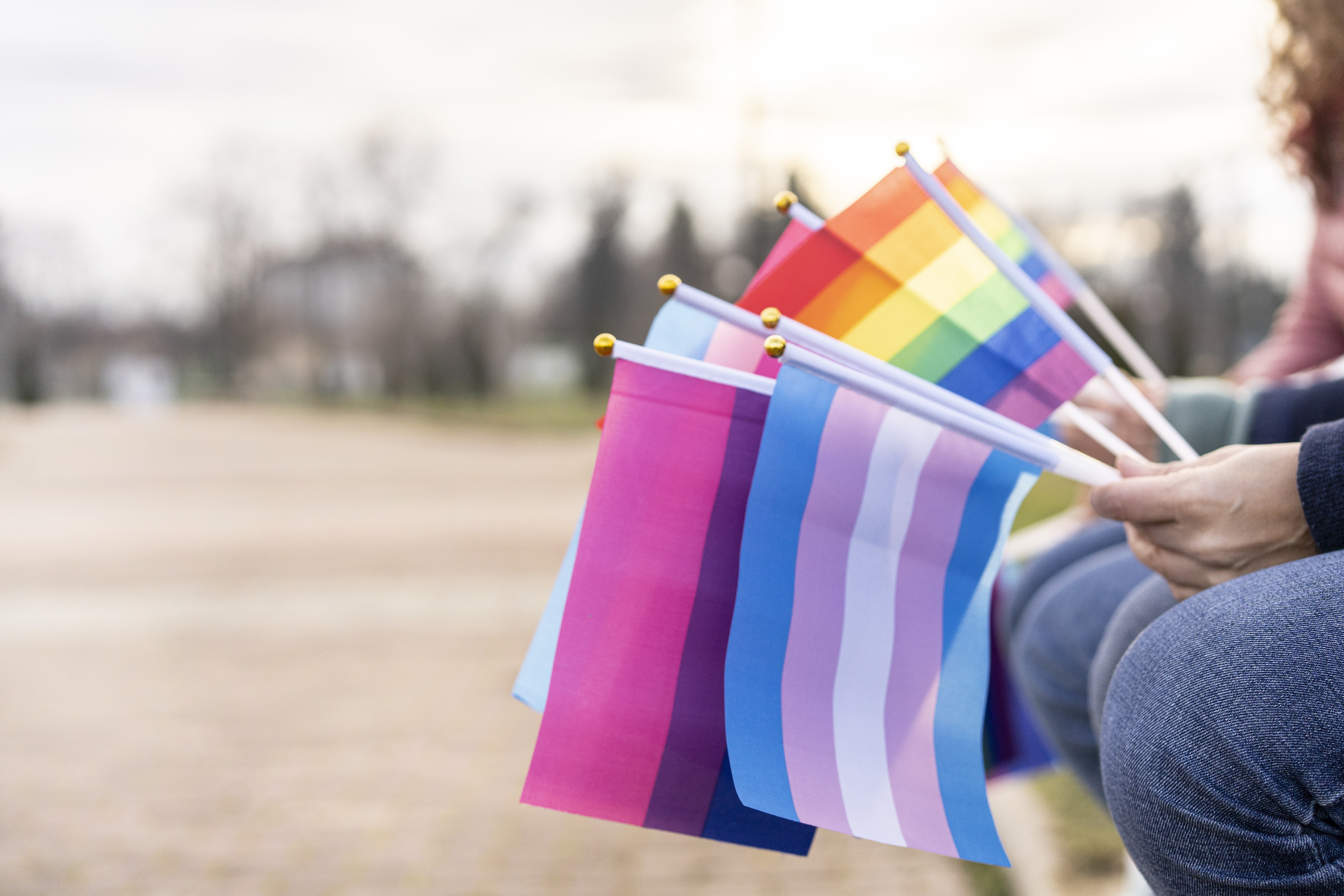 Bandeira da Visibilidade Trans (Foto: Getty Images)