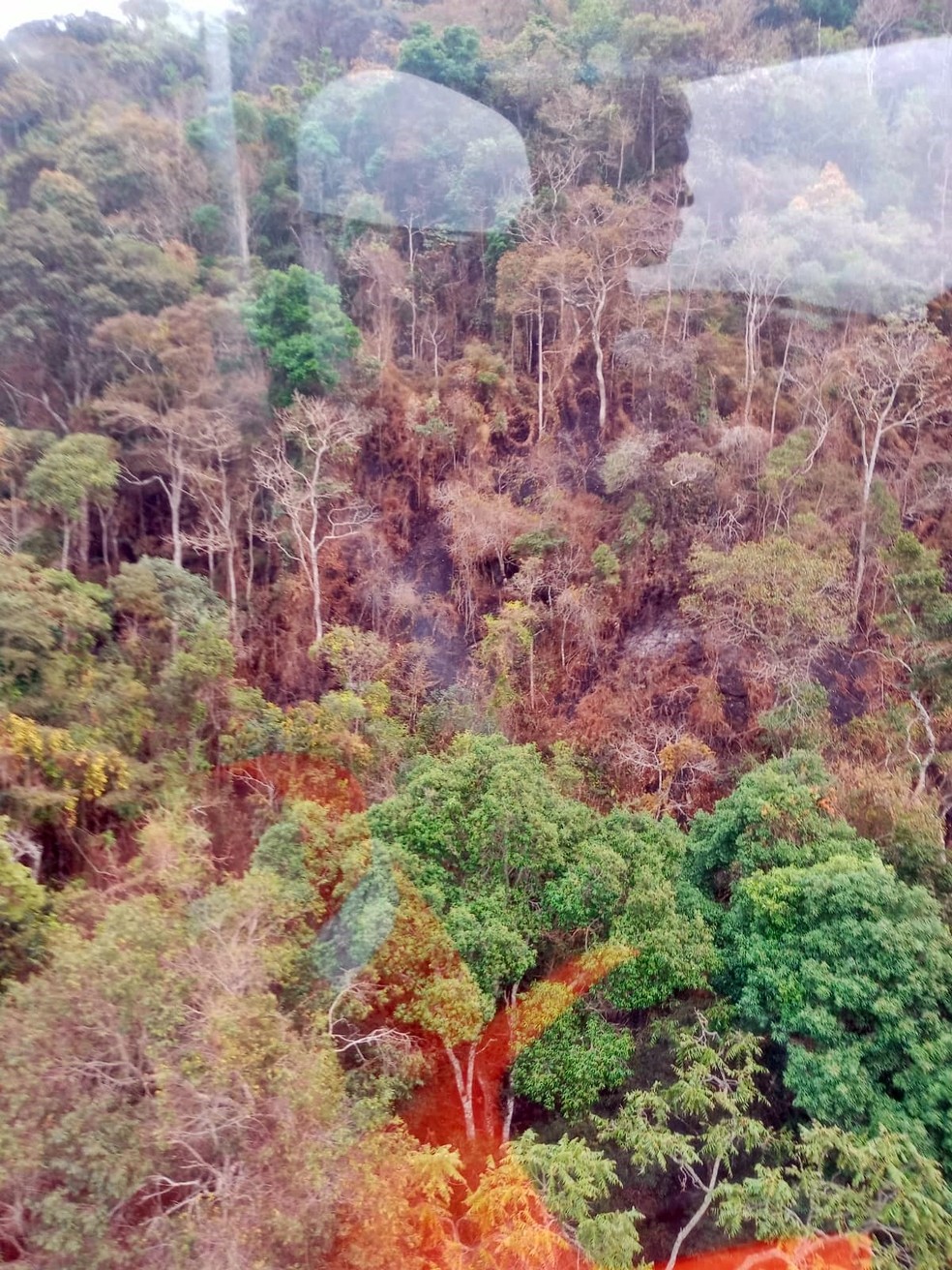 Incêndio que atingiu Parque Estadual da Serra do Papagaio queimou cerca de 240 hectares de área em Baependi — Foto: Corpo de Bombeiros