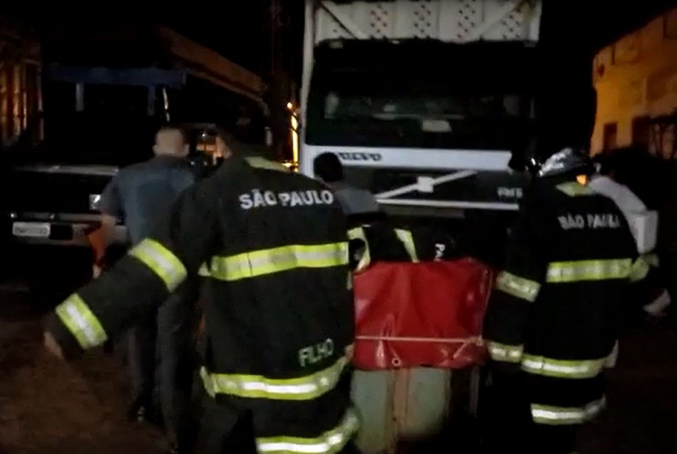 Onça foi colocada em uma gaiola pelos bombeiros em Chavantes — Foto: Corpo de Bombeiros/Divulgação