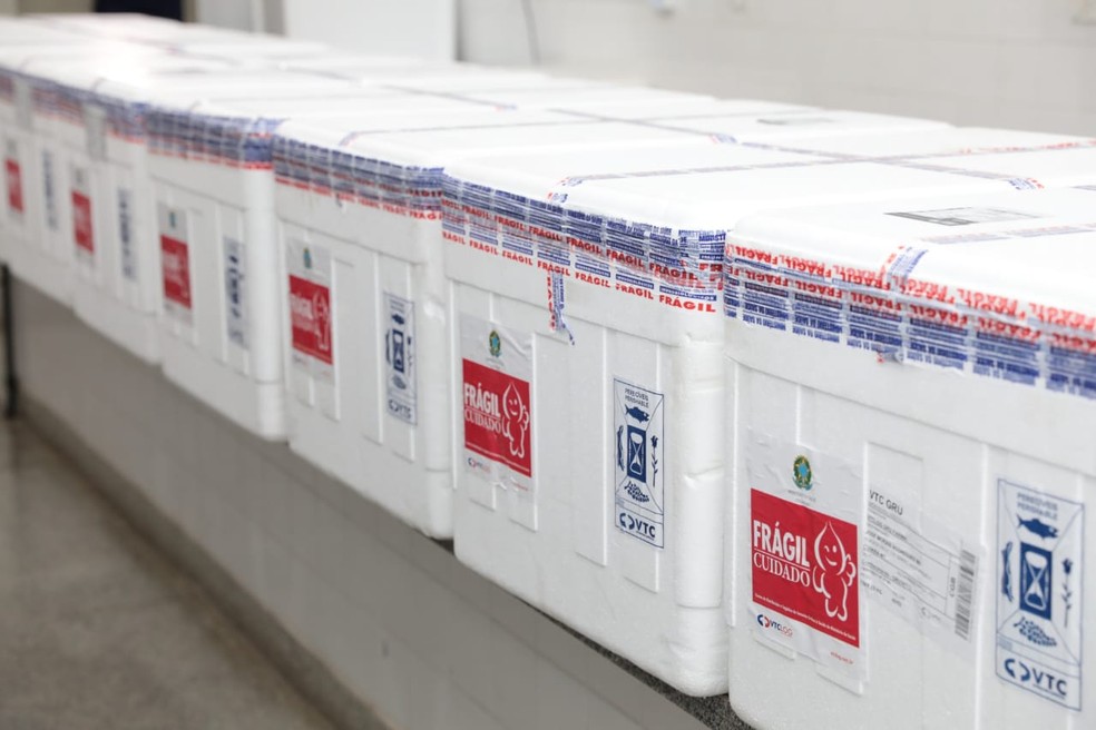 Vacinas que chegaram a MT foram enviadas pelo Ministério da Saúde, mas governo tem desejo de fazer compra direta de laboratórios — Foto: Marcos Vergueiro/Secom-MT