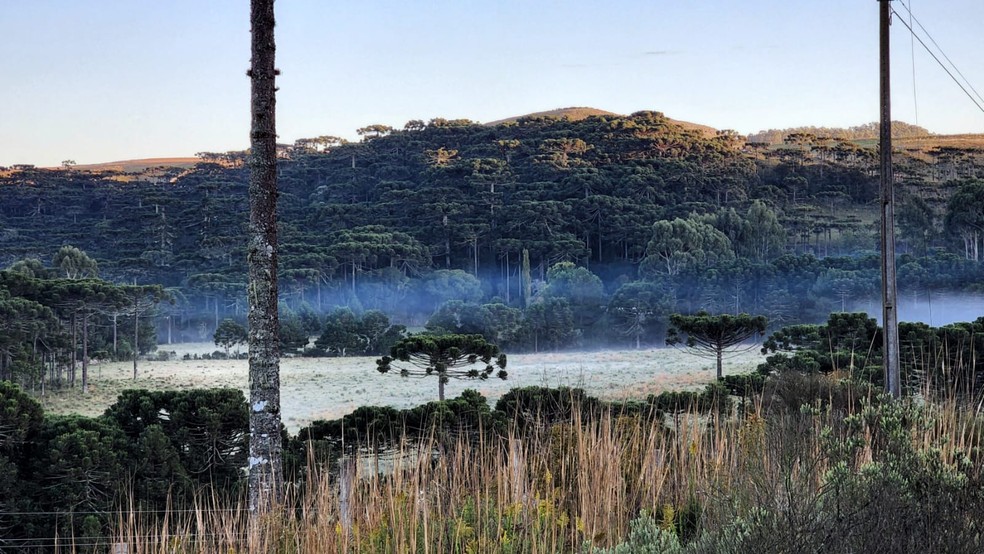 Termômetros de São Joaquim marcaram 7ºC — Foto: Mycchel Legnagi/ Divulgação