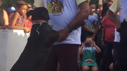 Foto: (Reprodução/DN) Foto: (Reprodução/DN)