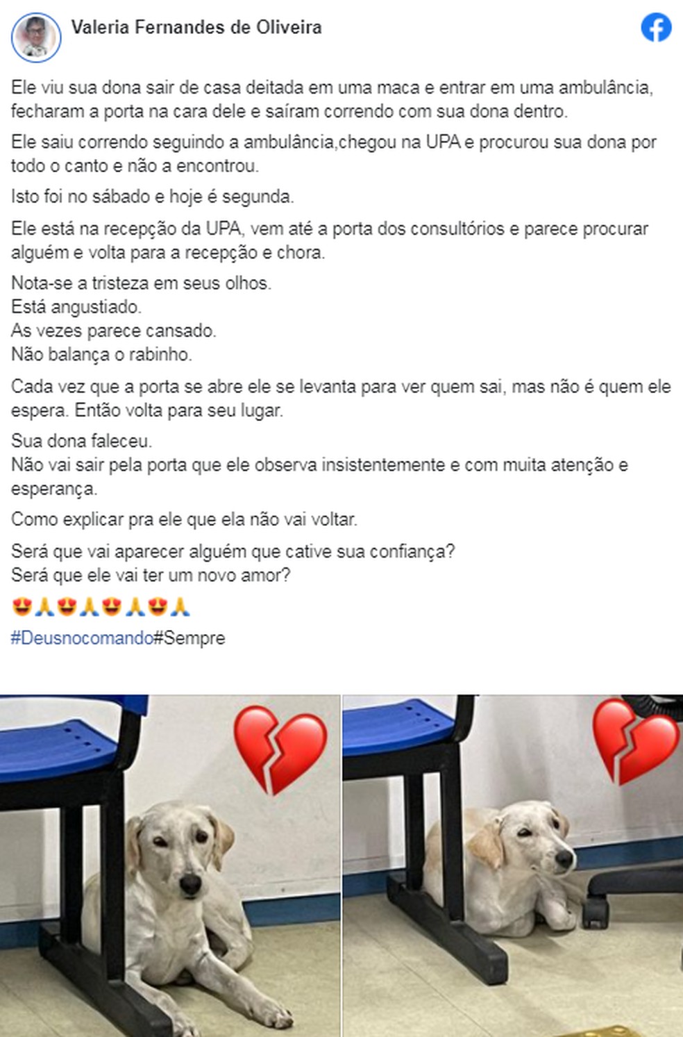 Publicação da médica Valéria Fernandes de Oliveira contando sobre a situação do cão — Foto: Reprodução/Facebook