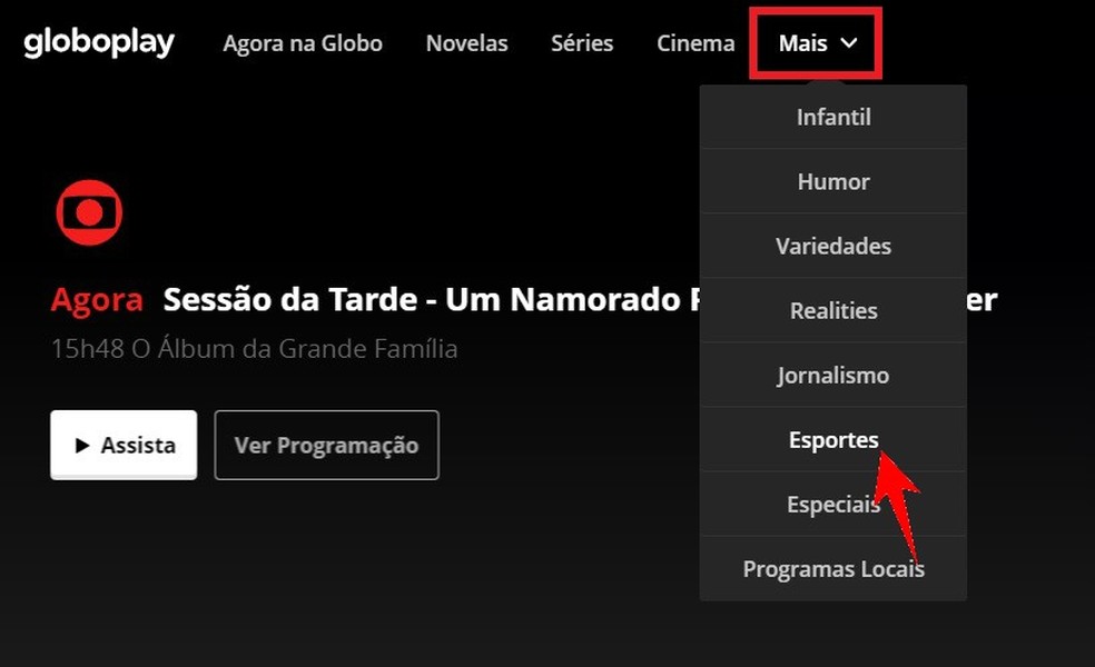 Assistir O Jogo Do Brasil Online Agora Na Globo Assistir Tv Globo Ao Vivo Hd Em 2020 Globo Ao Vivo Tv Globo
