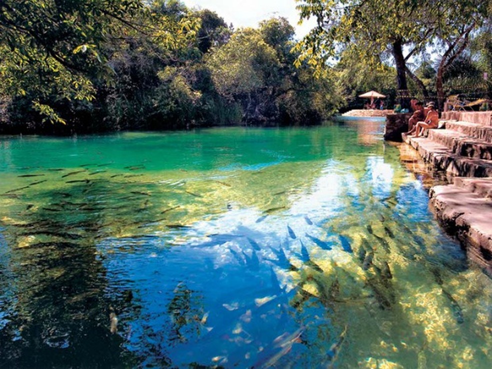 Visitantes podem avistar cardumes nas águas cristalinas do rio Formoso — Foto: Divulgação/Prefeitura de Bonito