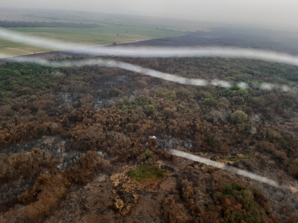 Incêndio atinge Parque Estadual do Aguapeí — Foto: Defesa Civil