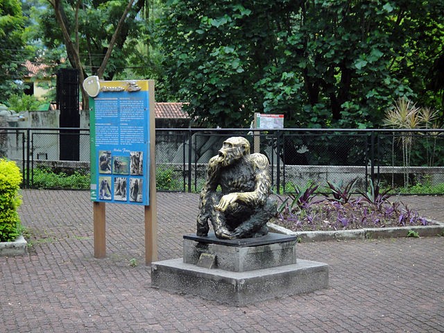 Estátua do Macaco Tião no Zoológico do Rio de Janeiro (Foto: Fulviusbsas / Wikimedia Commons / CreativeCommons)