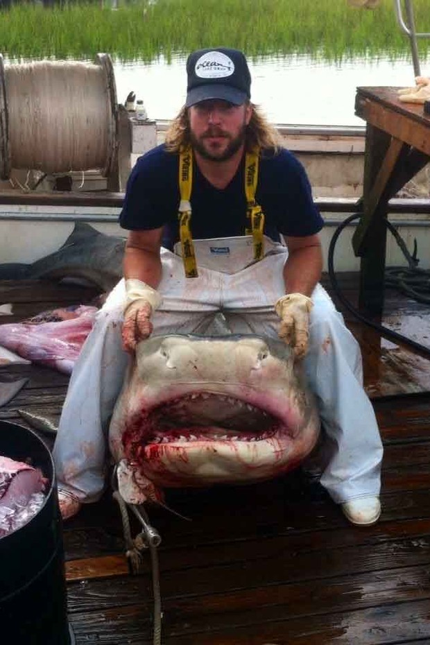 Joe Morries posa junto ao tubarão que pescou (Foto: Reprodução)