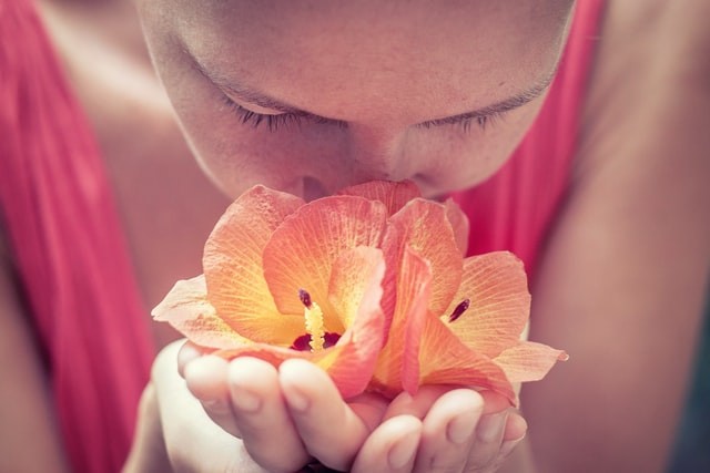 Treinamento olfativo consiste em inalar pelo menos quatro odores diferentes – como cravo, limão, rosa e eucalipto –, duas vezes ao dia e ao longo de vários meses (Foto: Ruslan Zh/Unsplash)