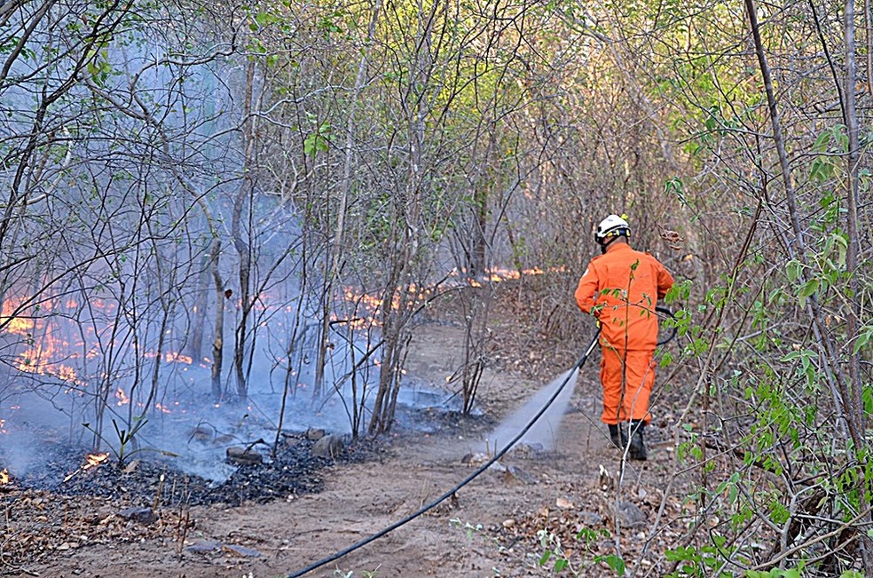 Bombeiros monitoram área queimada no Piauí — Foto: Kairo Amaral/TV Clube