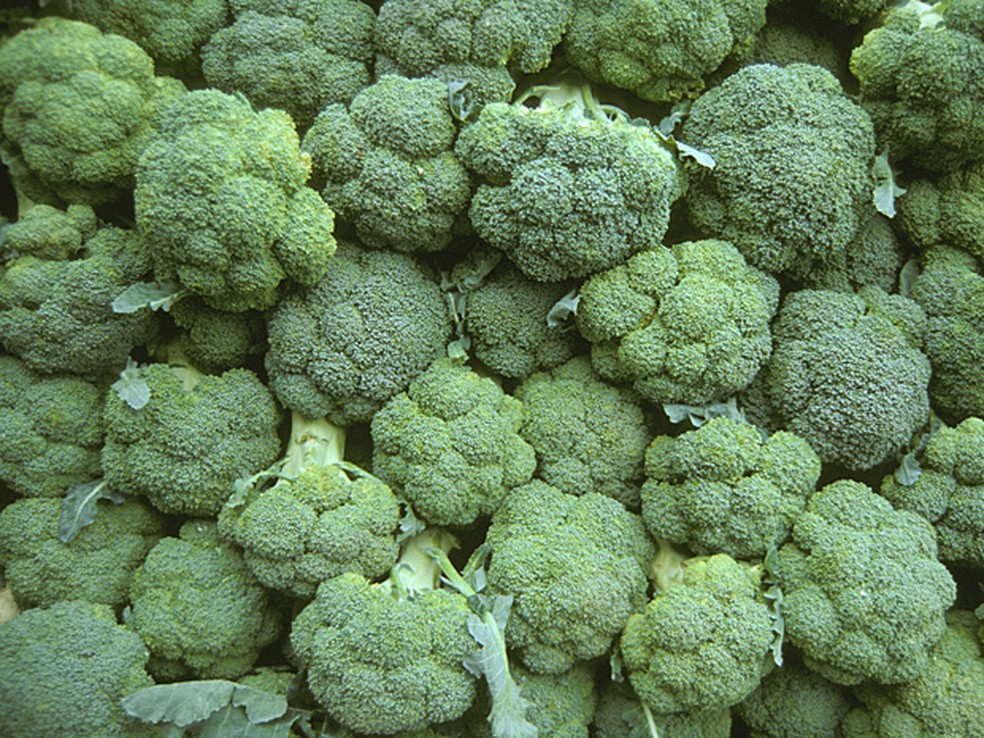 Preço do brócolis teve alta de 84,21% neste 1º semestre e remunerou melhor o produtor do Sul de MG, segundo a Ufla (Foto:  Laurence Simon/TIPS/Photononstop/AFP)
