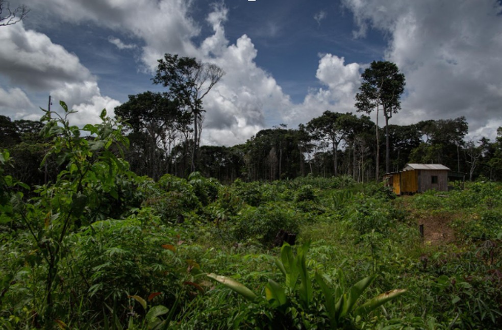 Produtores têm aprendido técnicas de recuperação do solo — Foto: Flávio Forner/Arquivo pessoal