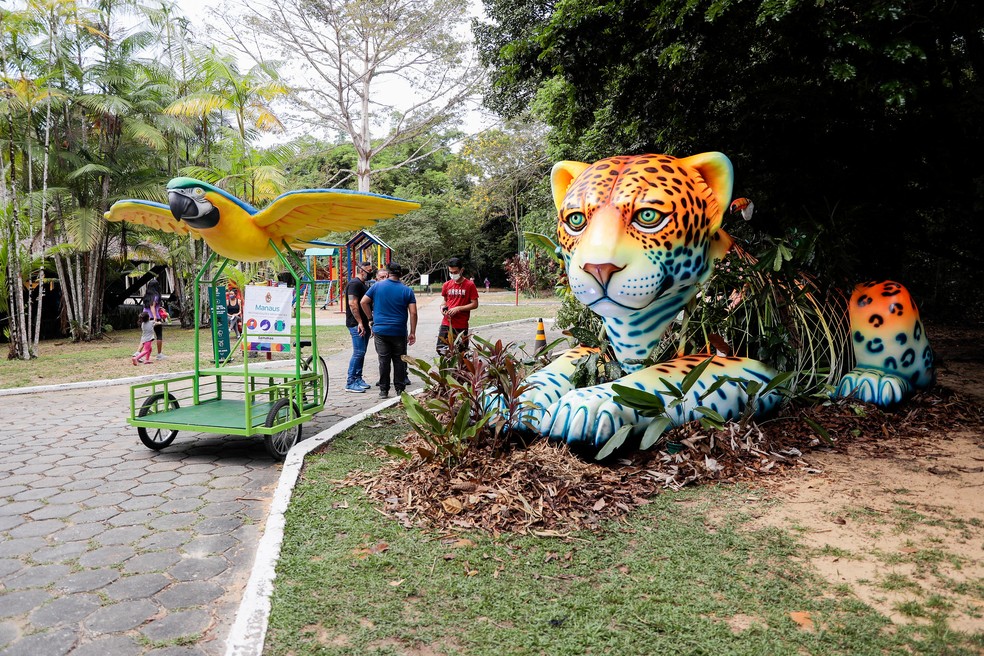 Parque do Mindu recebe programa&ccedil;&atilde;o especial para o Dia do Meio Ambiente,  neste s&aacute;bado (5) | Amazonas | G1