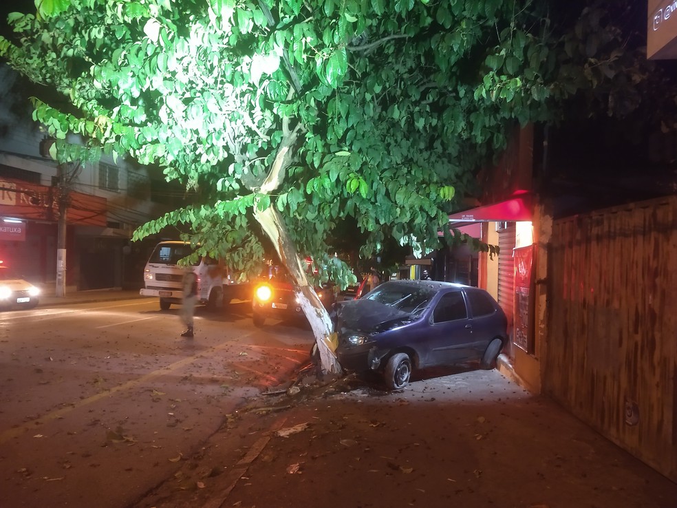 Após retirada do carro, a árvore teve que ser cortada, segundo os Bombeiros — Foto: Corpo de Bombeiros/Augusto Ribeiro