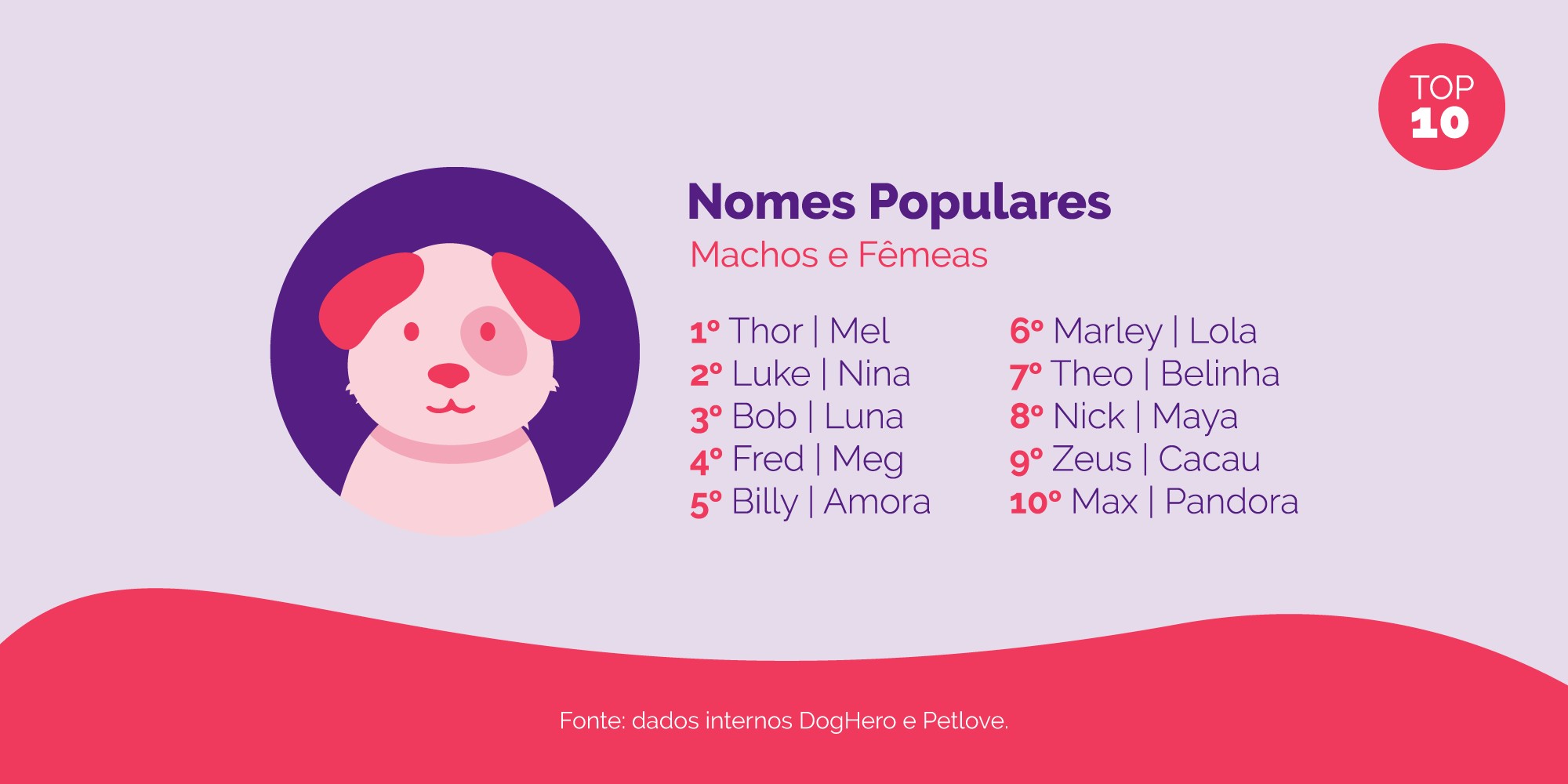 Categoria Cães: TOP 10 Nacional Nomes Populares Machos e Fêmeas (Foto: Divulgação / DogHero / Petlove)