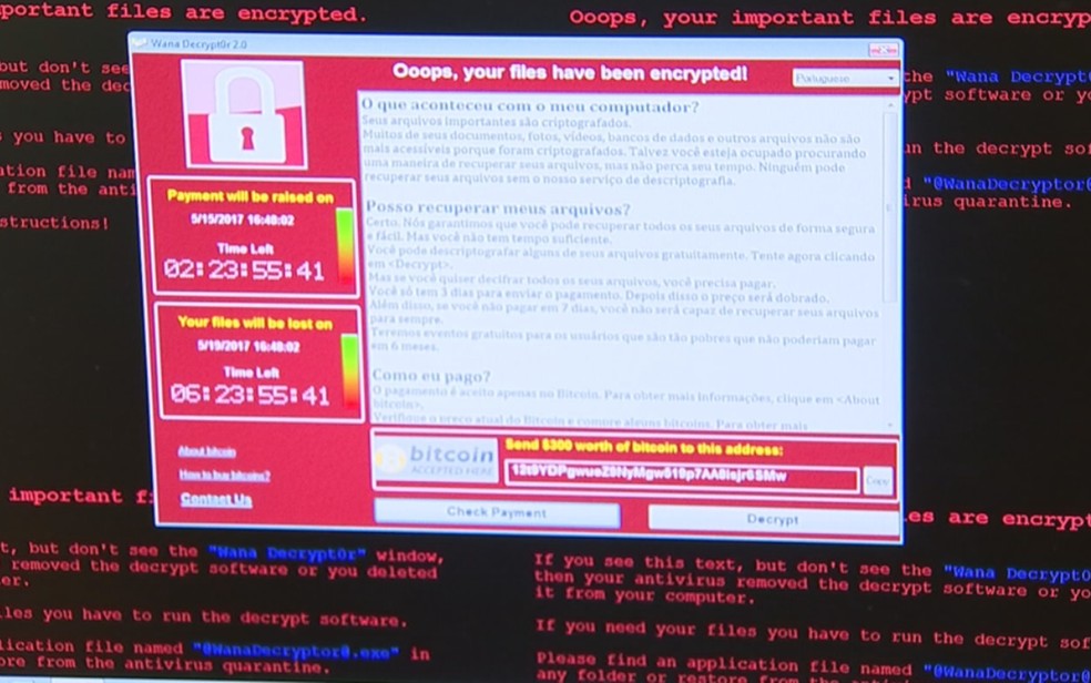 Tela de computador atacado pelo vírus (Foto: Reprodução/TV TEM)