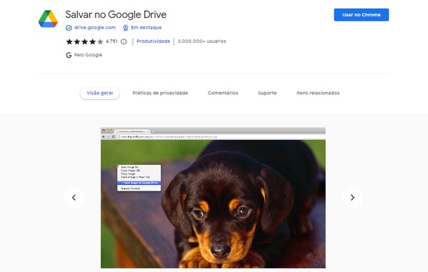 Extensão Salvar no Google Drive permite salvar PDFs, imagens, links e áudios — Foto: Reprodução/Google Chrome