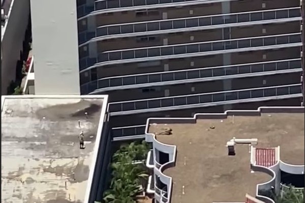 O flagrante do indivíduo após finalizar seu salto no vãos de 5 metros entre prédios na Austrália (Foto: Reprodução)