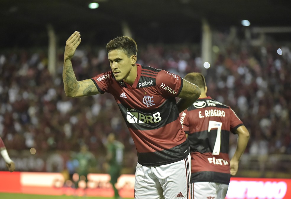Pedro comemora o segundo gol do Flamengo contra o Boavista — Foto: André Durão
