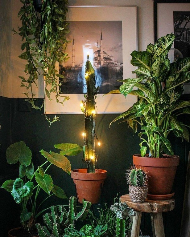 Decoração de Natal: 12 ideias para aproveitar as plantas que você tem em casa (Foto: reprodução / Pinterest)