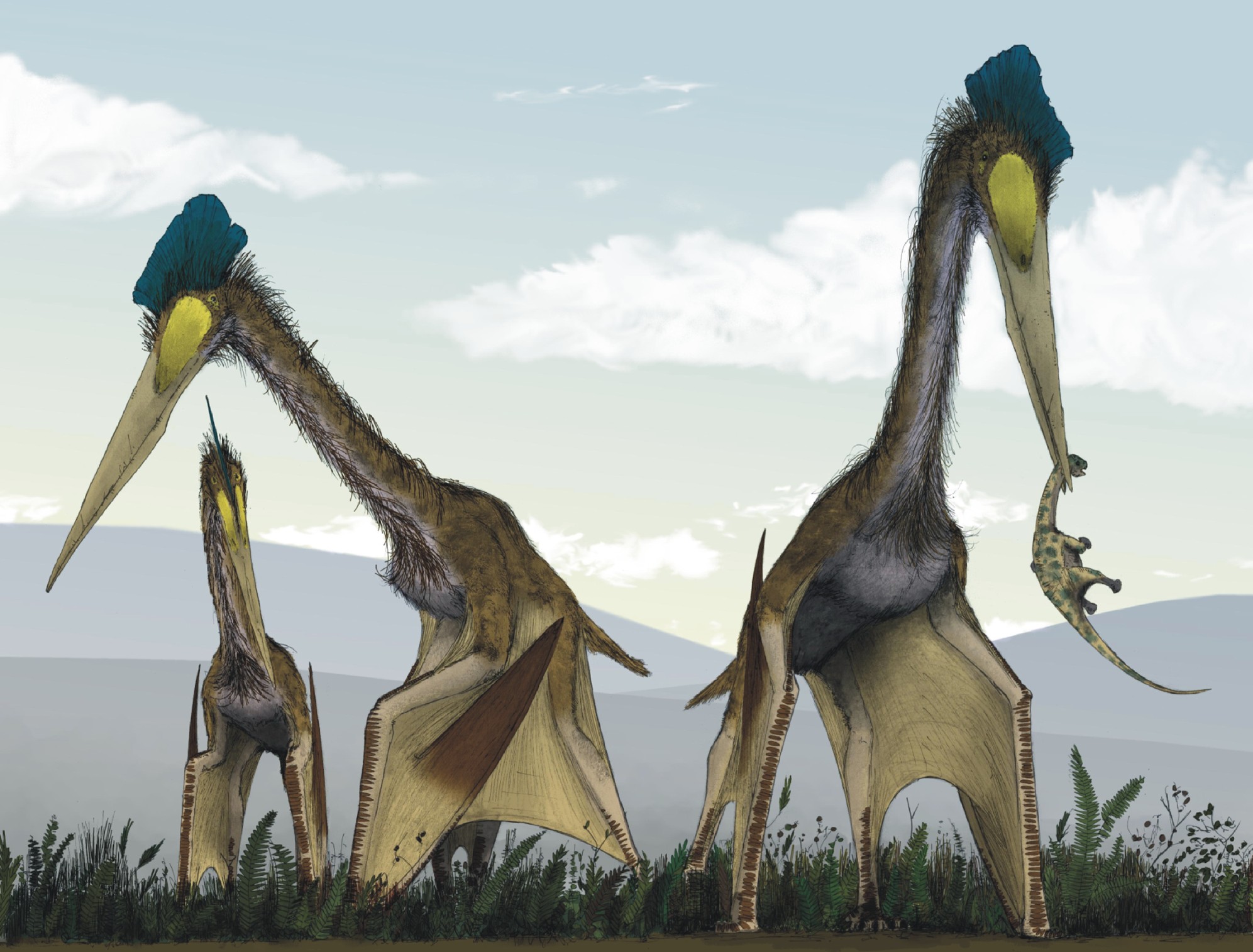 Representação artística dos pterossauros Quetzalcoatlus northropi (Foto: Wikimedia Commons)