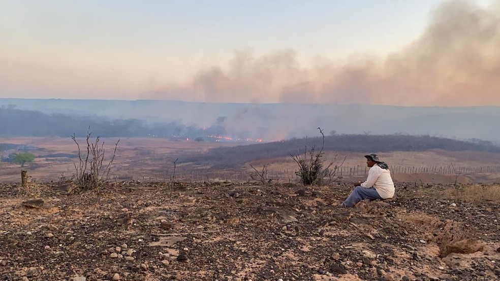 Incêndios voltam a atingir vegetação no Piauí; Curimatá e Cristino Castro apresentam situação mais grave  — Foto: Divulgação/Corpo de Bombeiros 