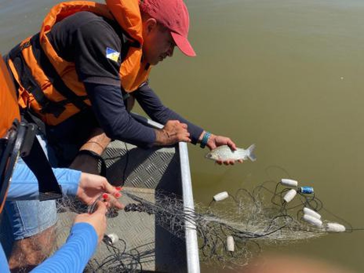 Materiais de pesca predatória são apreendidos pela fiscalização ...