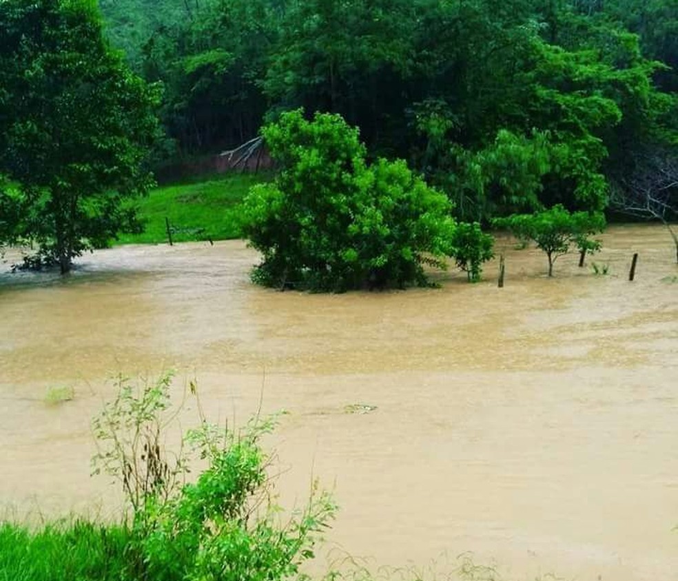 Várias propriedades estão alagadas em distrito rural do Carmo, no RJ (Foto: Camilla Estulano da Silva/Arquivo Pessoal)