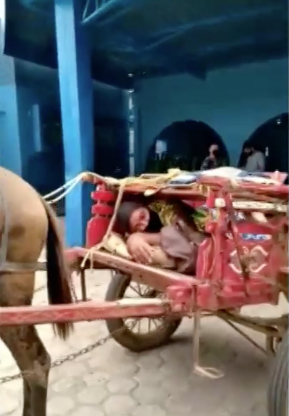 Mulher é levada de carroça para hospital em Ji-Paraná, RO — Foto: Reprodução/Rede Amazônica